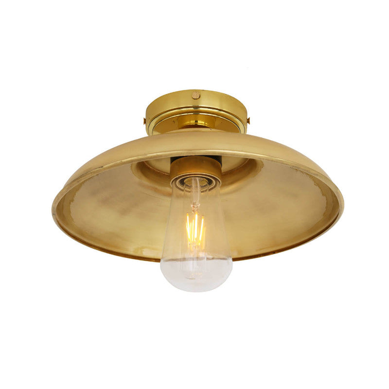 Darya Ceiling Light