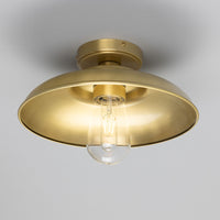 Darya Ceiling Light