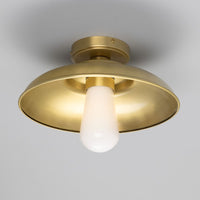 Darya Ceiling Light