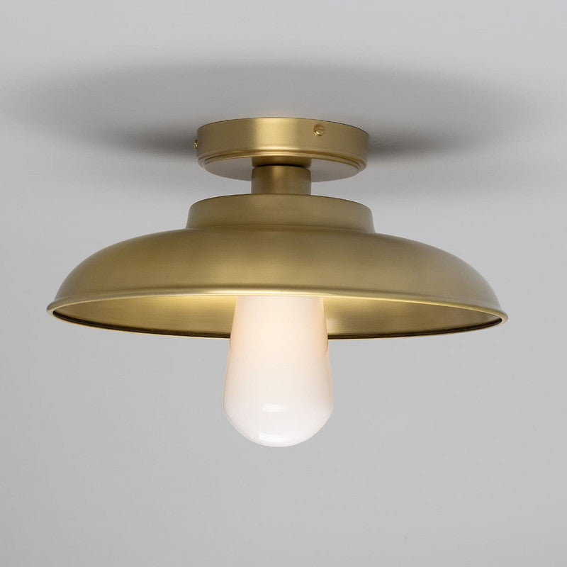 Darya Ceiling Light