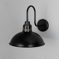 Talise Swan Neck Wall Light