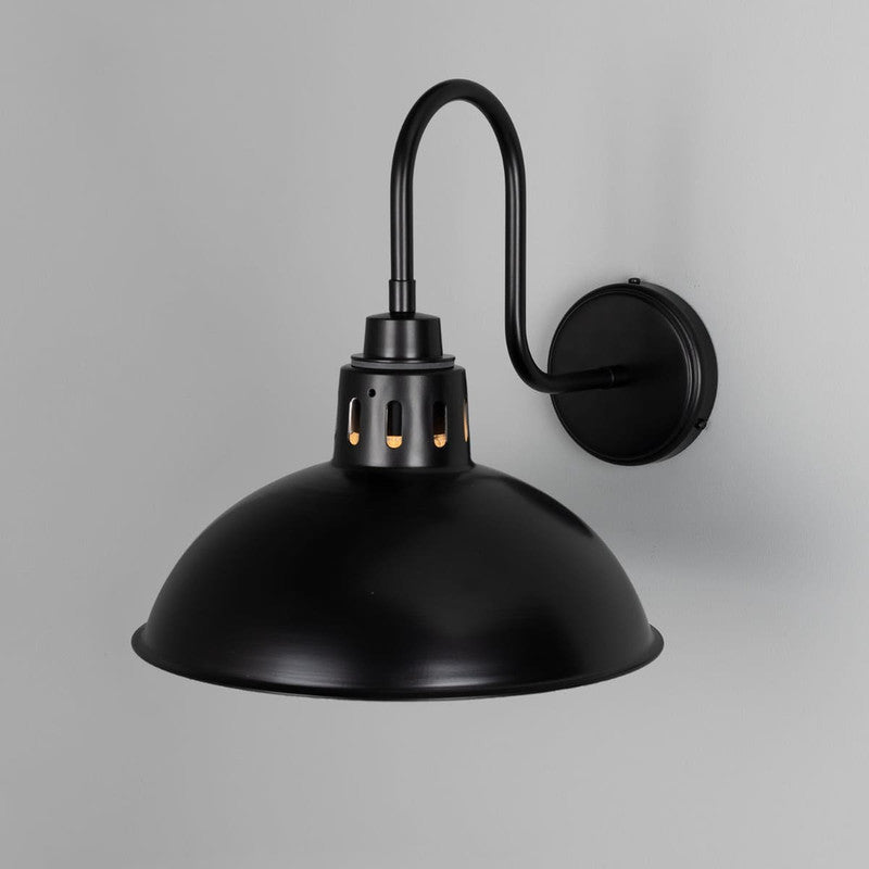 Talise Swan Neck Wall Light