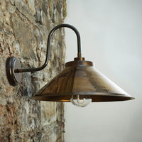 Nerissa Swan Neck Wall Light
