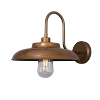 Darya Swan Neck Wall Light