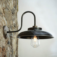 Darya Swan Neck Wall Light