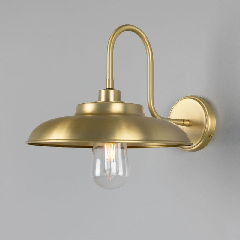 Darya Swan Neck Wall Light
