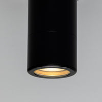 Quin Ceiling Light