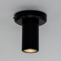 Quin Ceiling Light