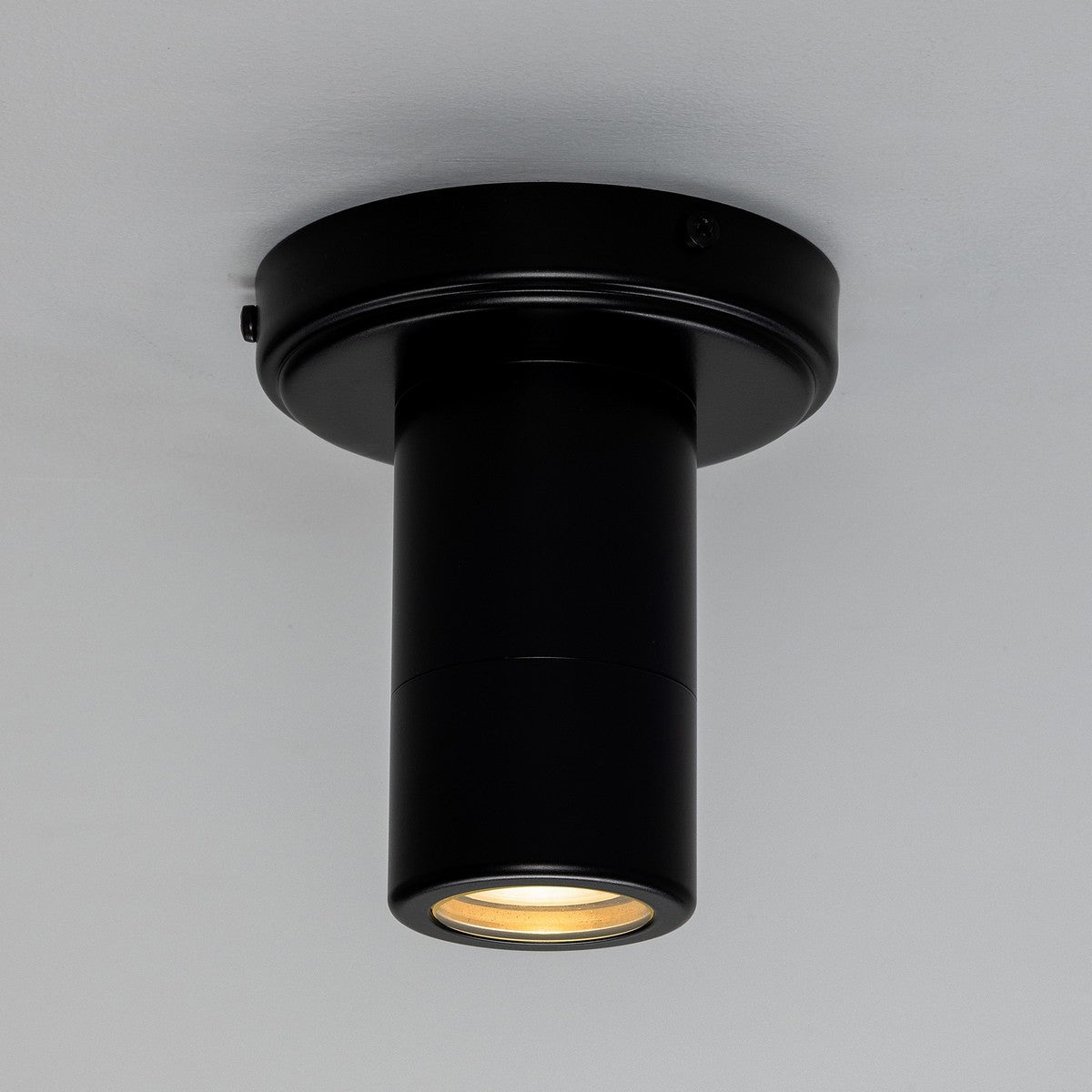Quin Ceiling Light