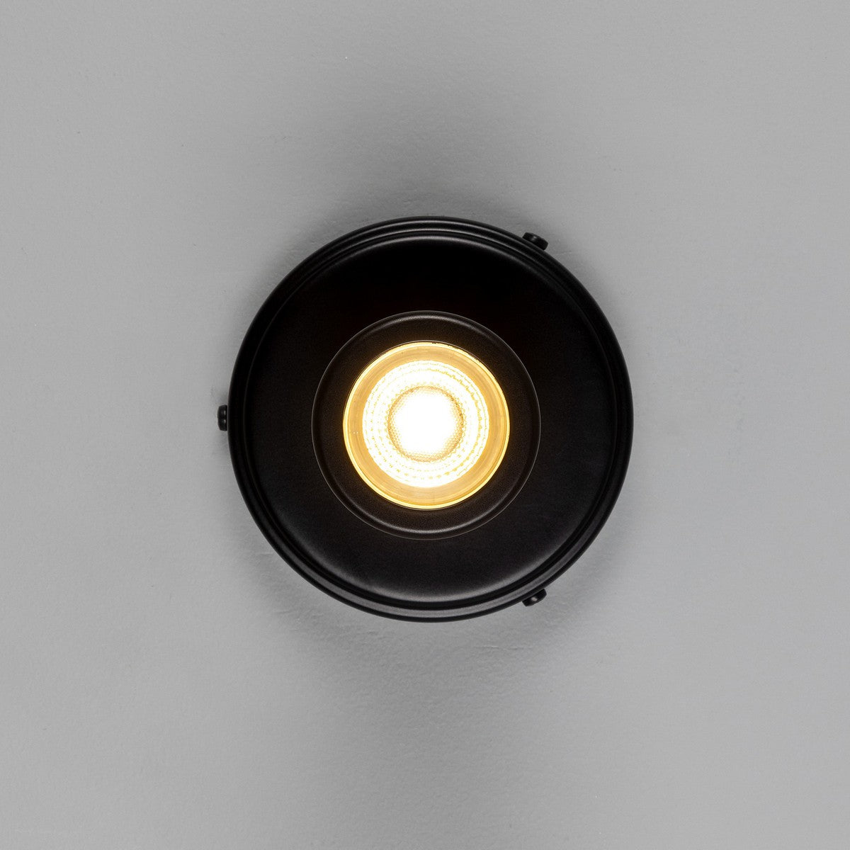 Quin Ceiling Light