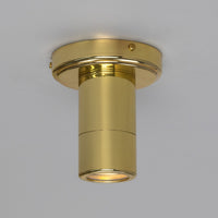 Quin Ceiling Light
