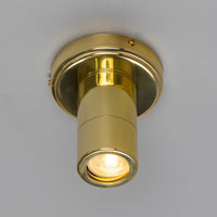 Quin Ceiling Light