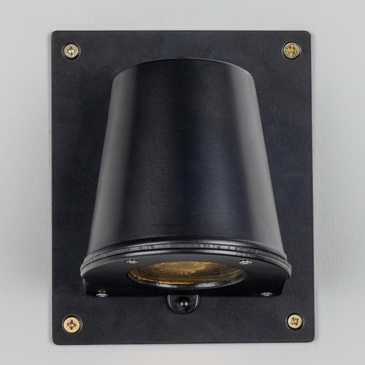 Wade Wall Light With Back Plate