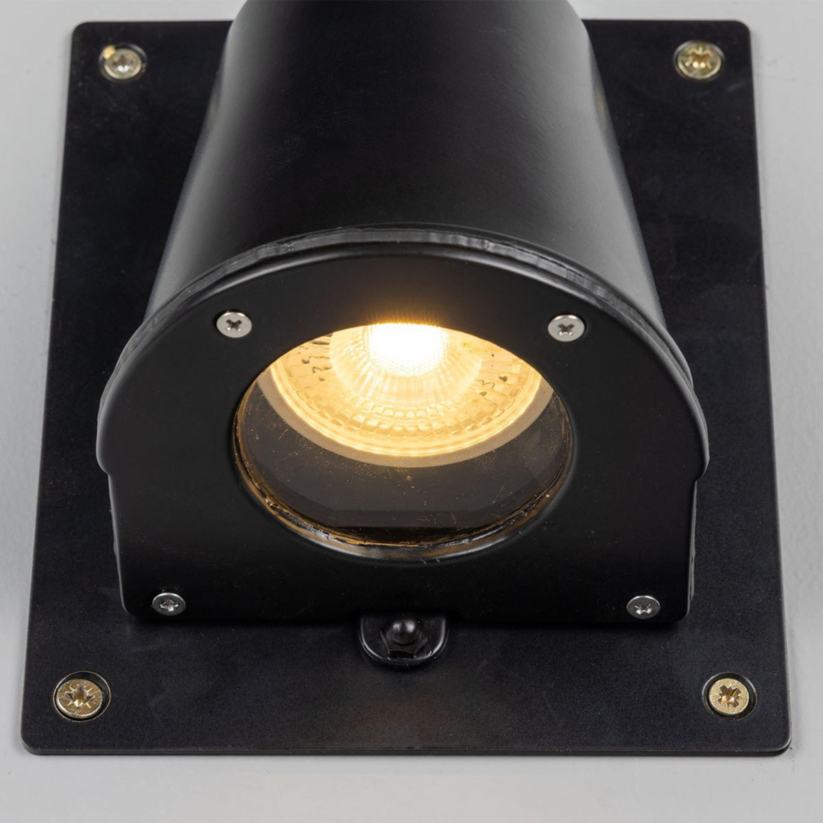 Wade Wall Light With Back Plate