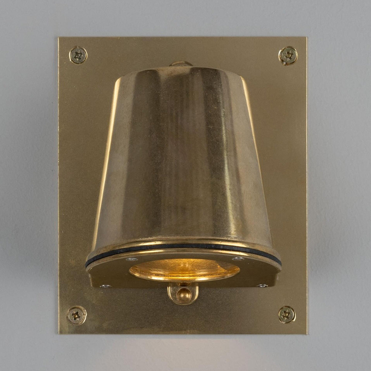 Wade Wall Light With Back Plate
