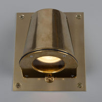 Wade Wall Light With Back Plate