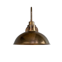 Paris Brass Swan Neck IP20 Wall Light