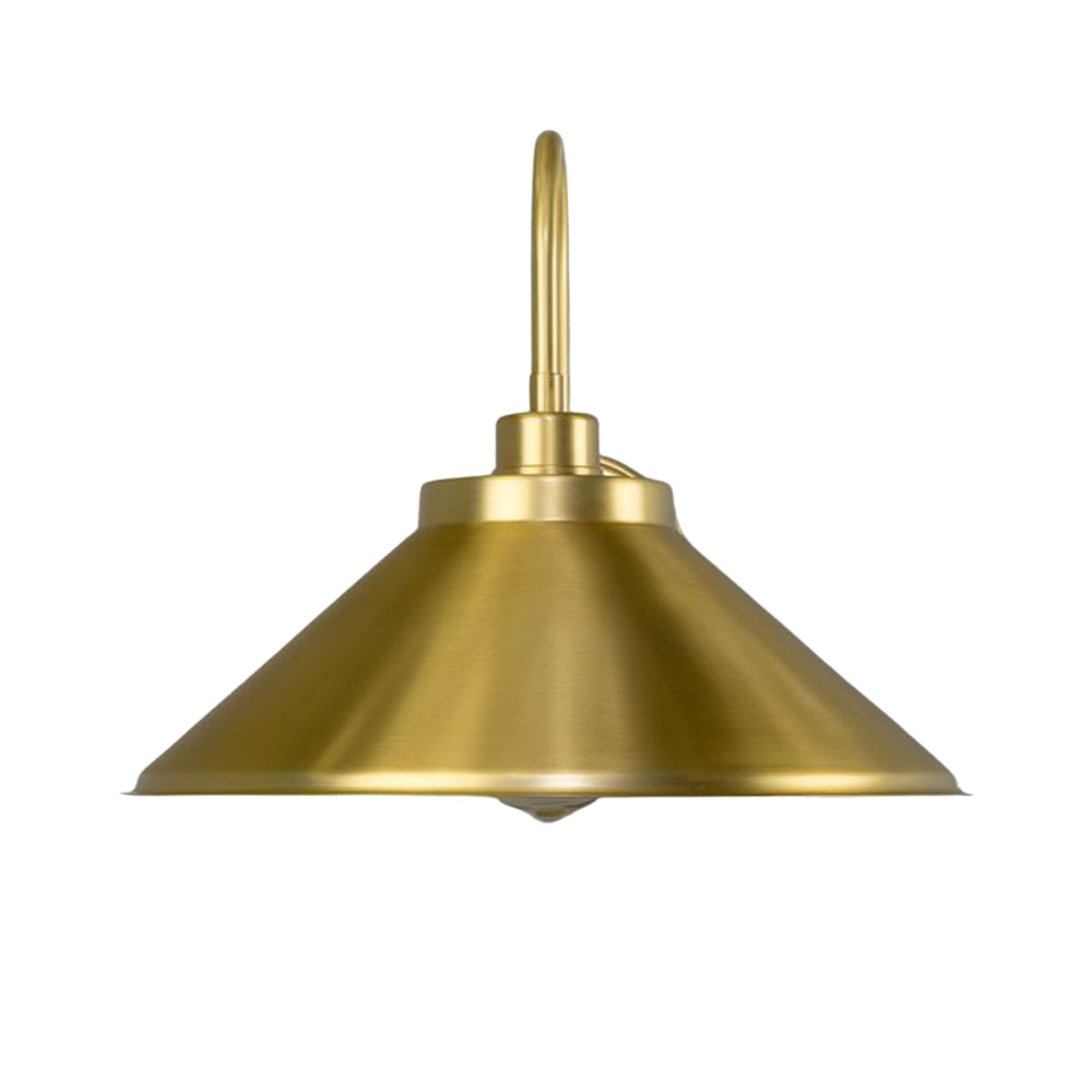 RIO Brass Swan Neck IP20 Wall Light