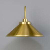 RIO Brass Swan Neck IP20 Wall Light