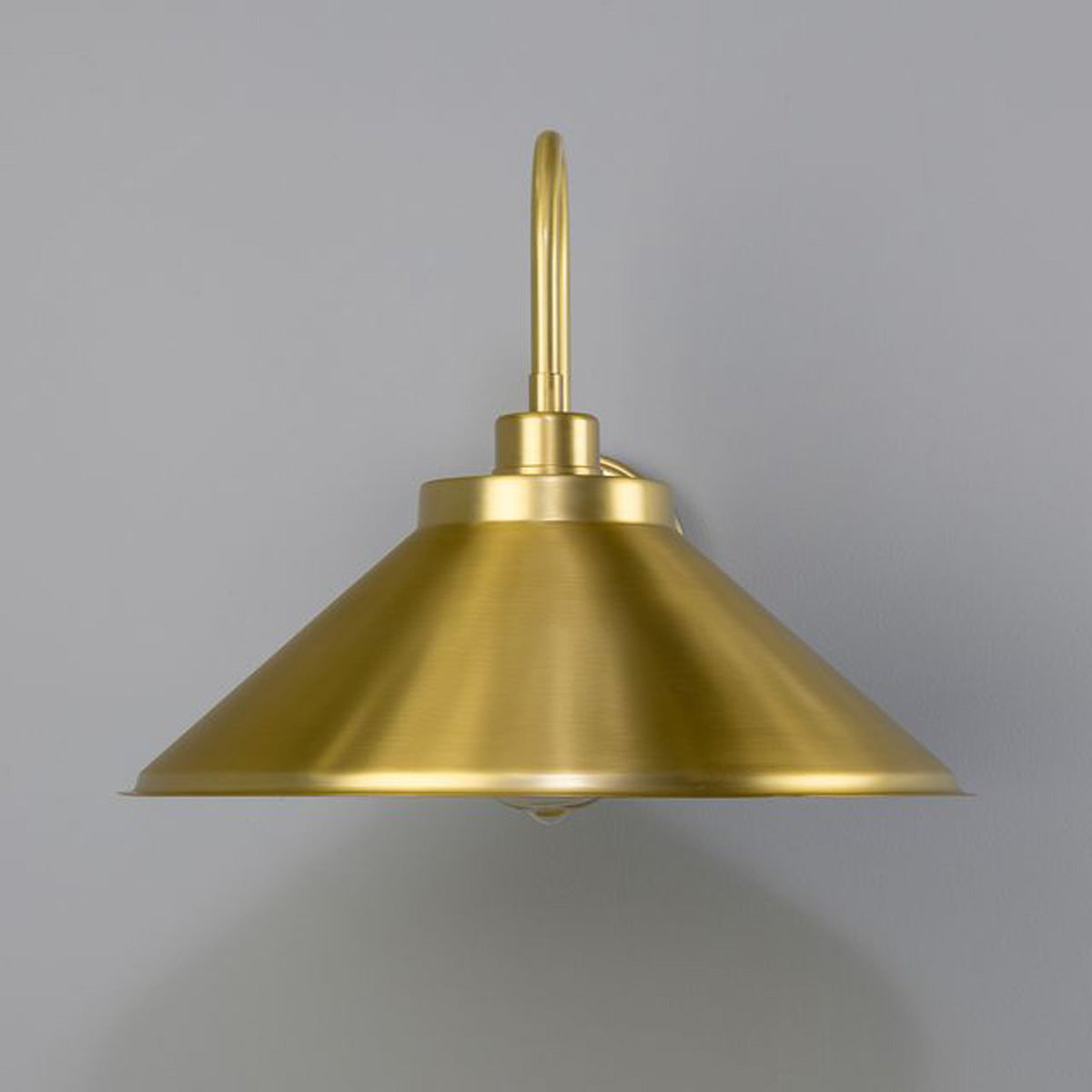 RIO Brass Swan Neck IP20 Wall Light