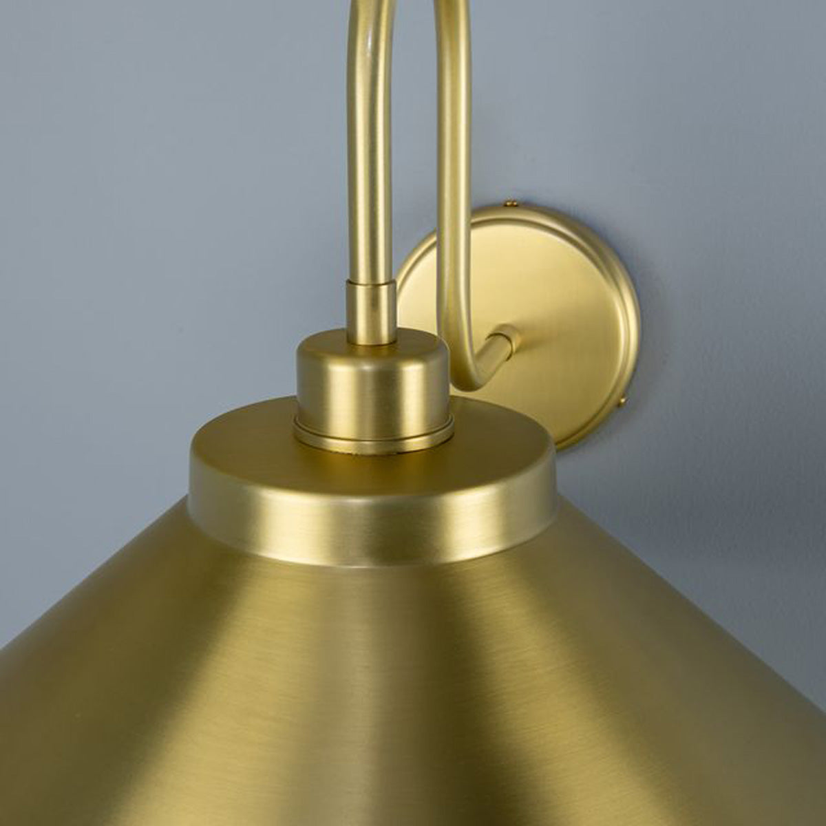 RIO Brass Swan Neck IP20 Wall Light