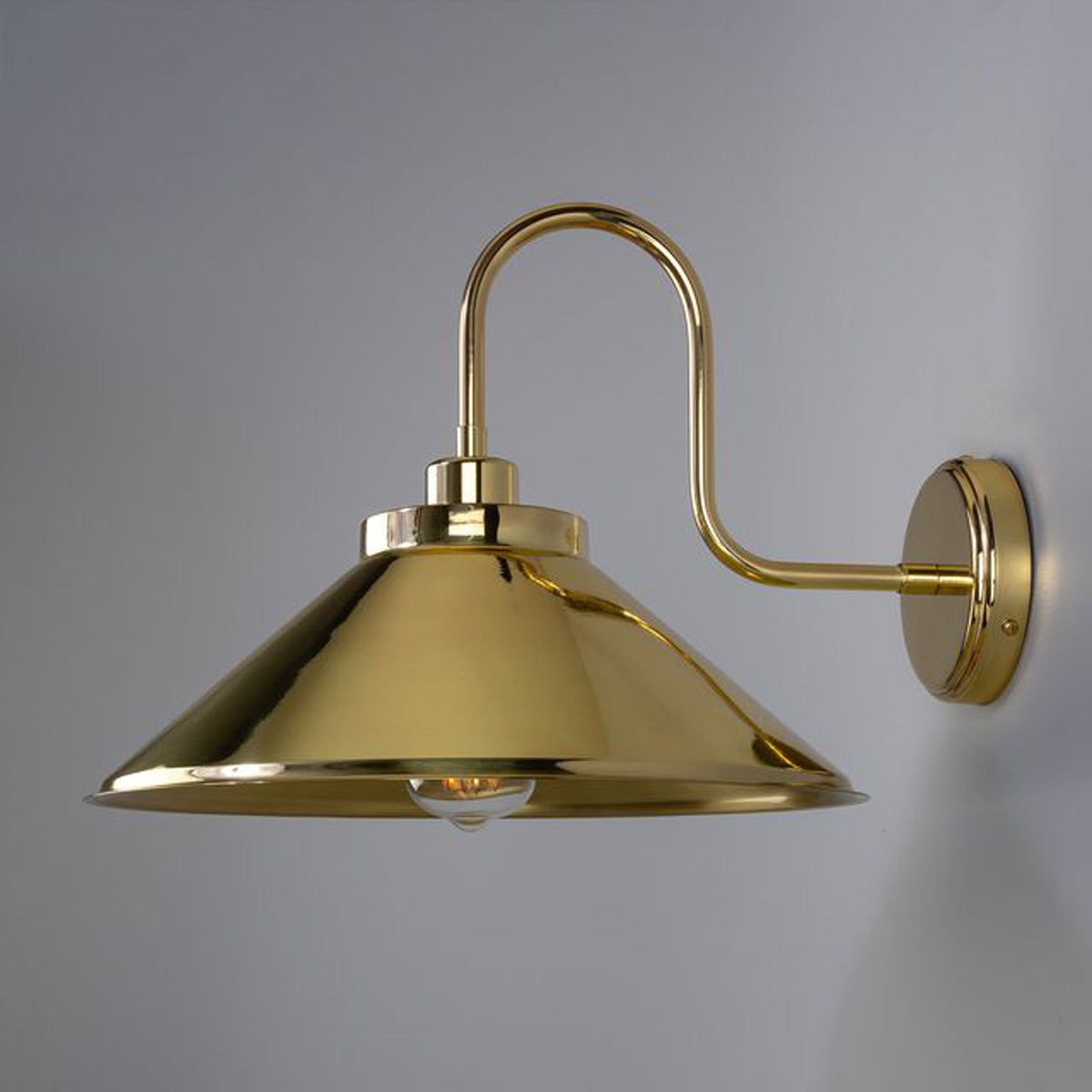 RIO Brass Swan Neck IP20 Wall Light