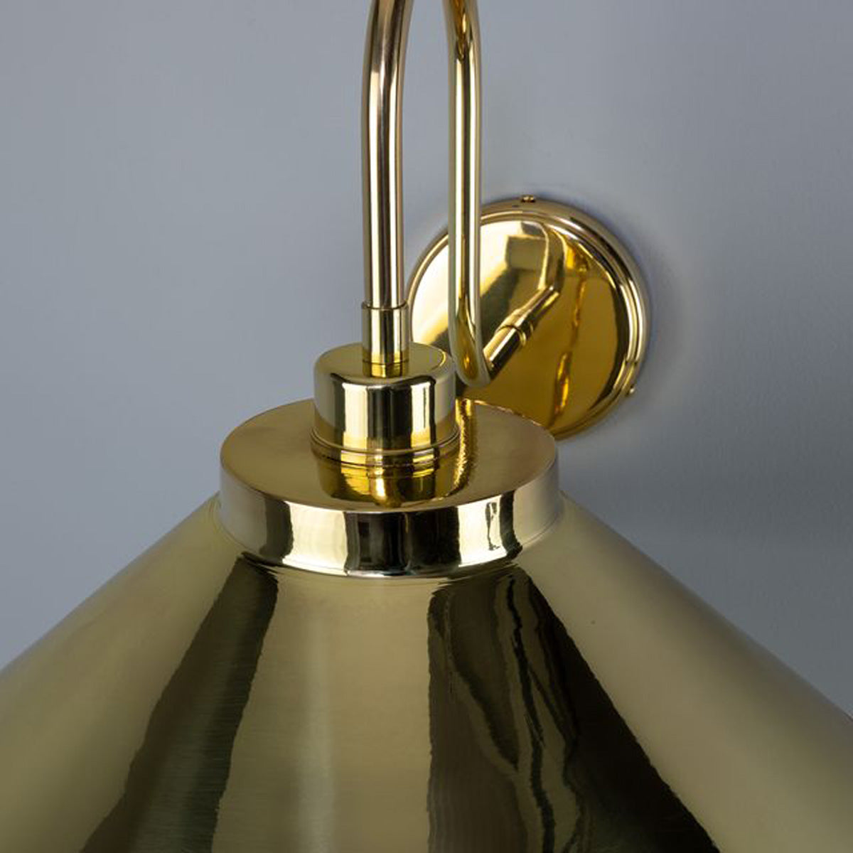 RIO Brass Swan Neck IP20 Wall Light