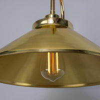 RIO Brass Swan Neck IP20 Wall Light