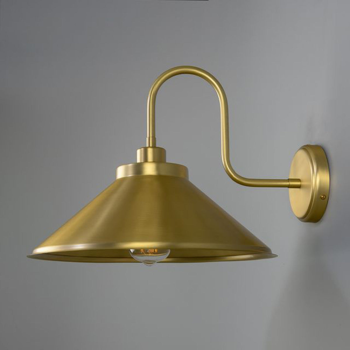 RIO Brass Swan Neck IP20 Wall Light