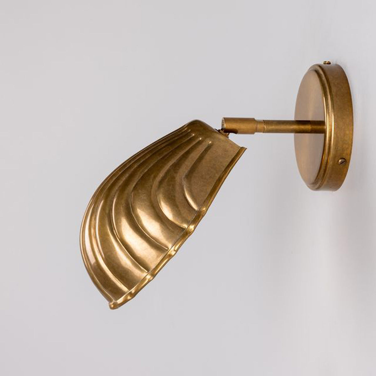 Shell Wall Light