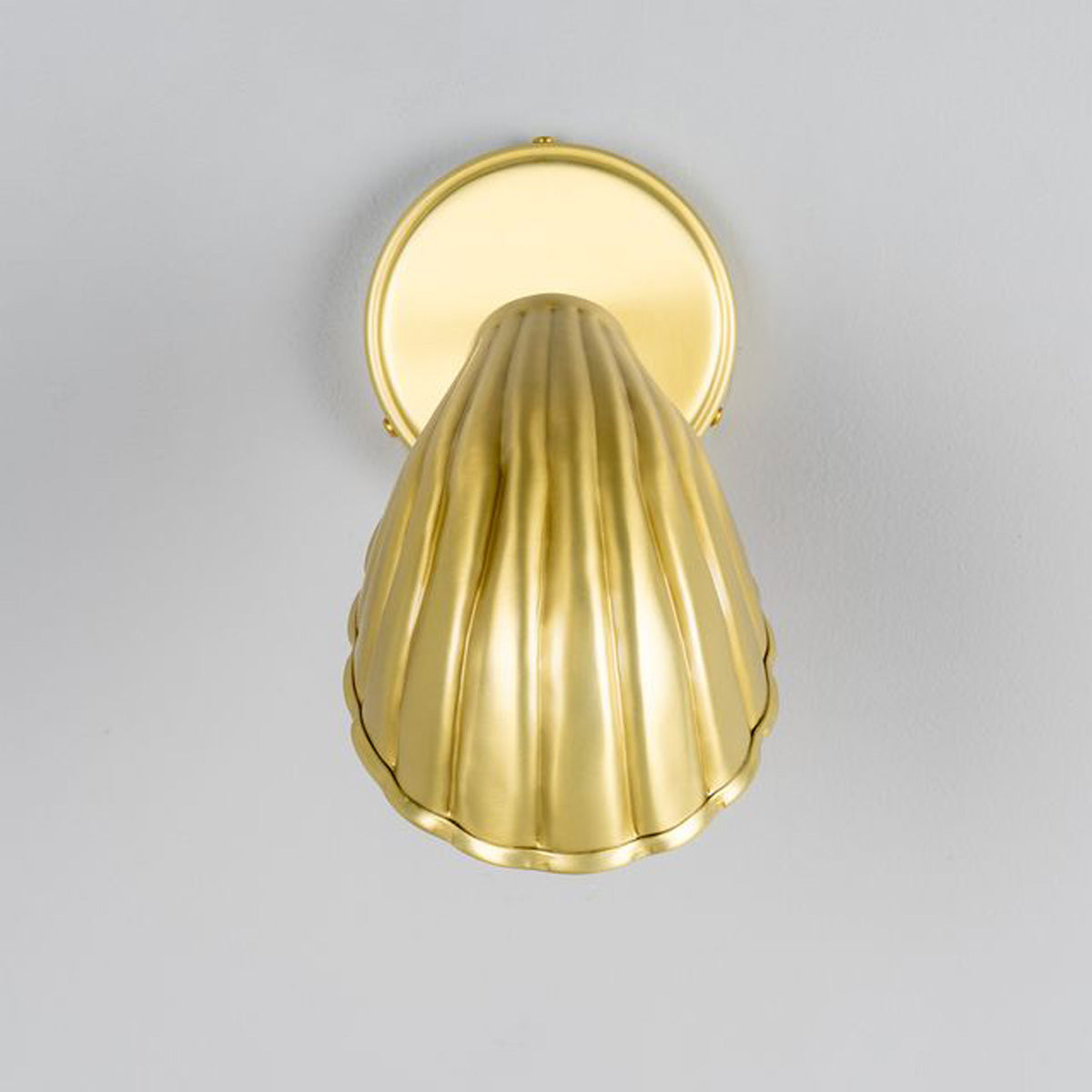 Shell Wall Light