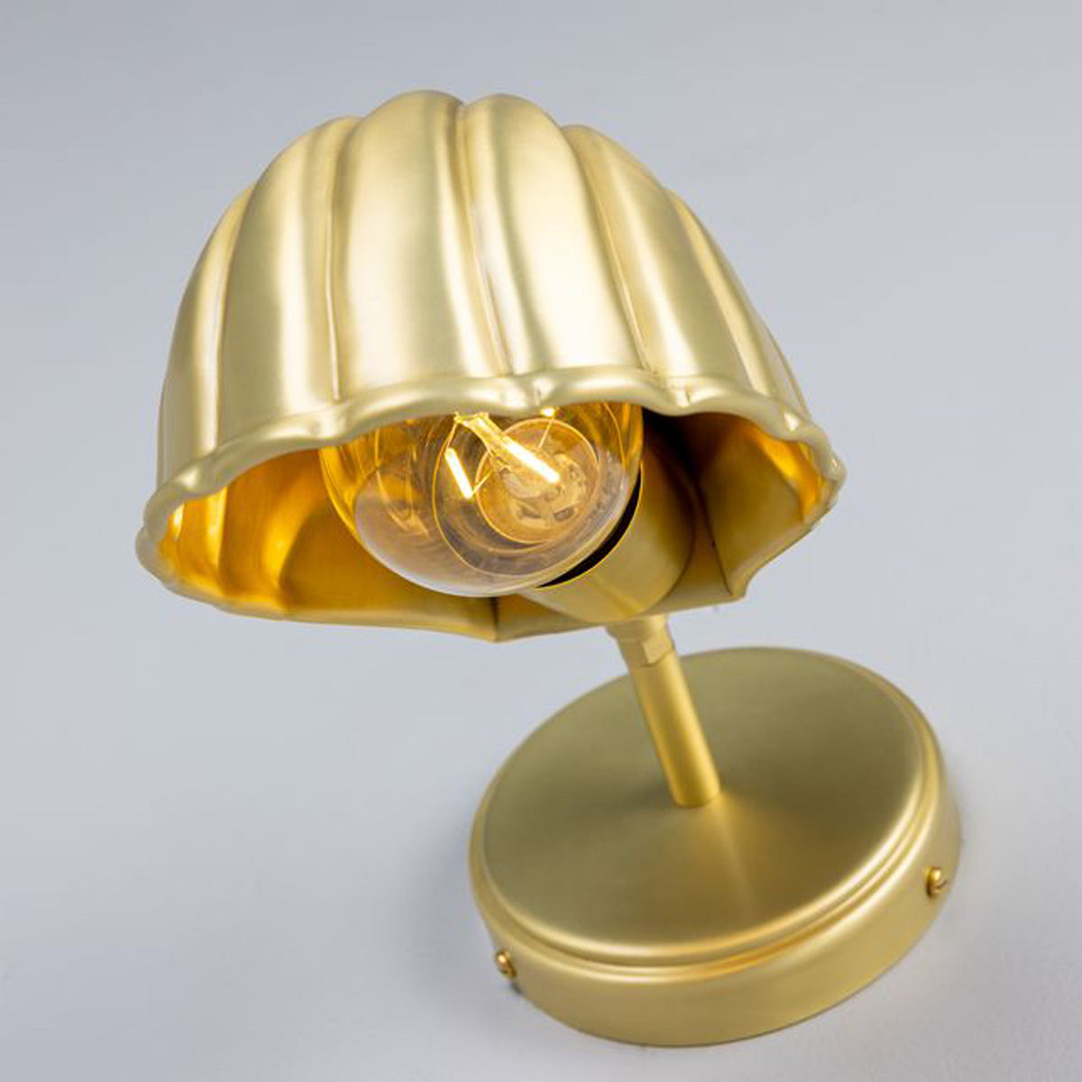 Shell Wall Light