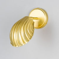 Shell Wall Light