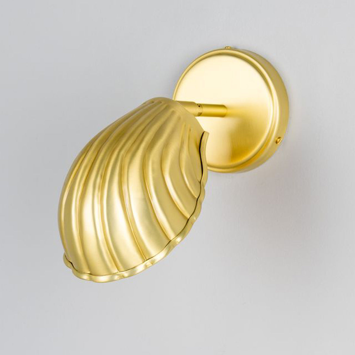 Shell Wall Light