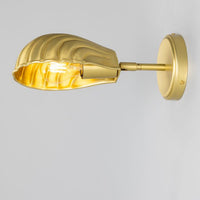 Shell Wall Light
