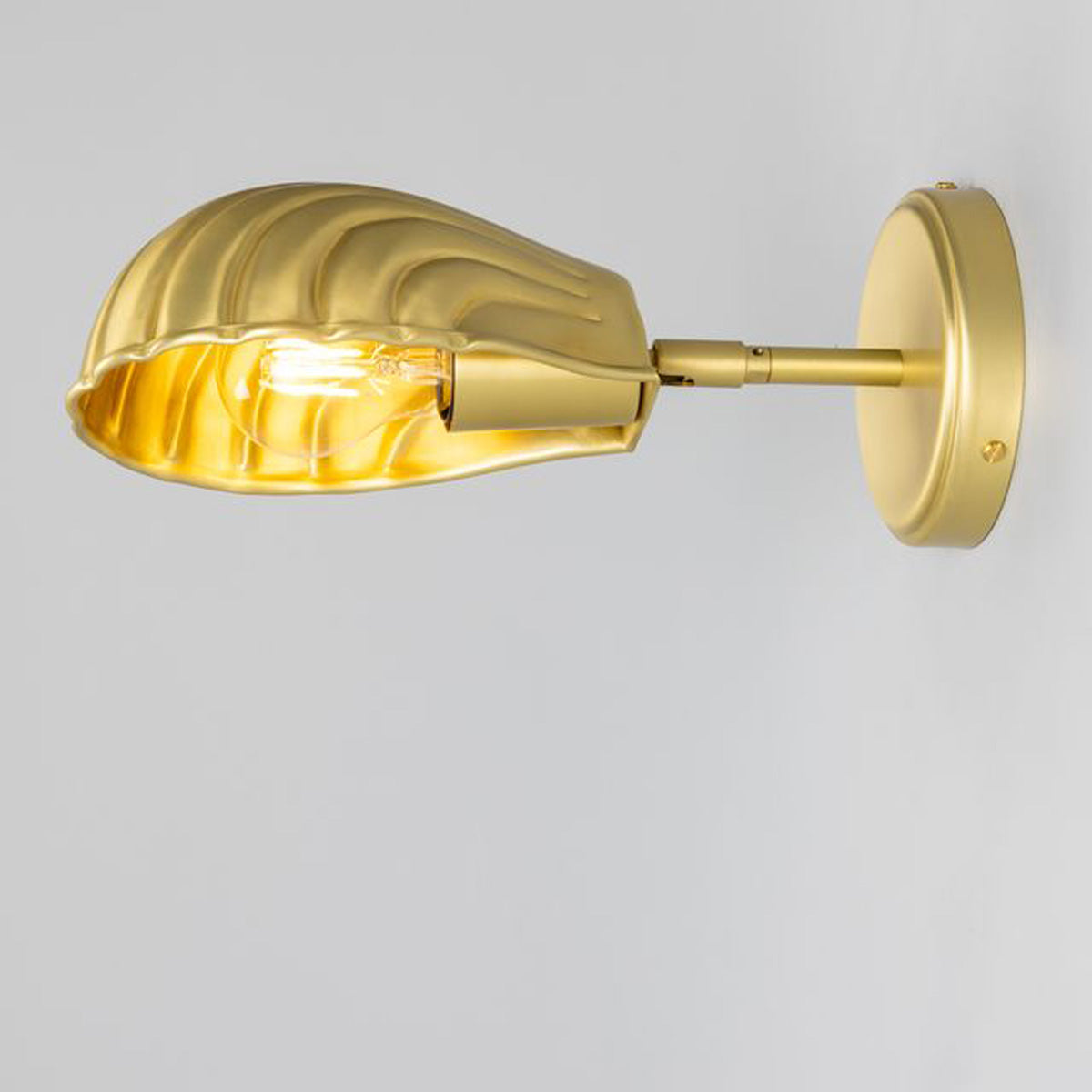 Shell Wall Light