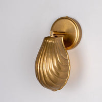 Shell Wall Light
