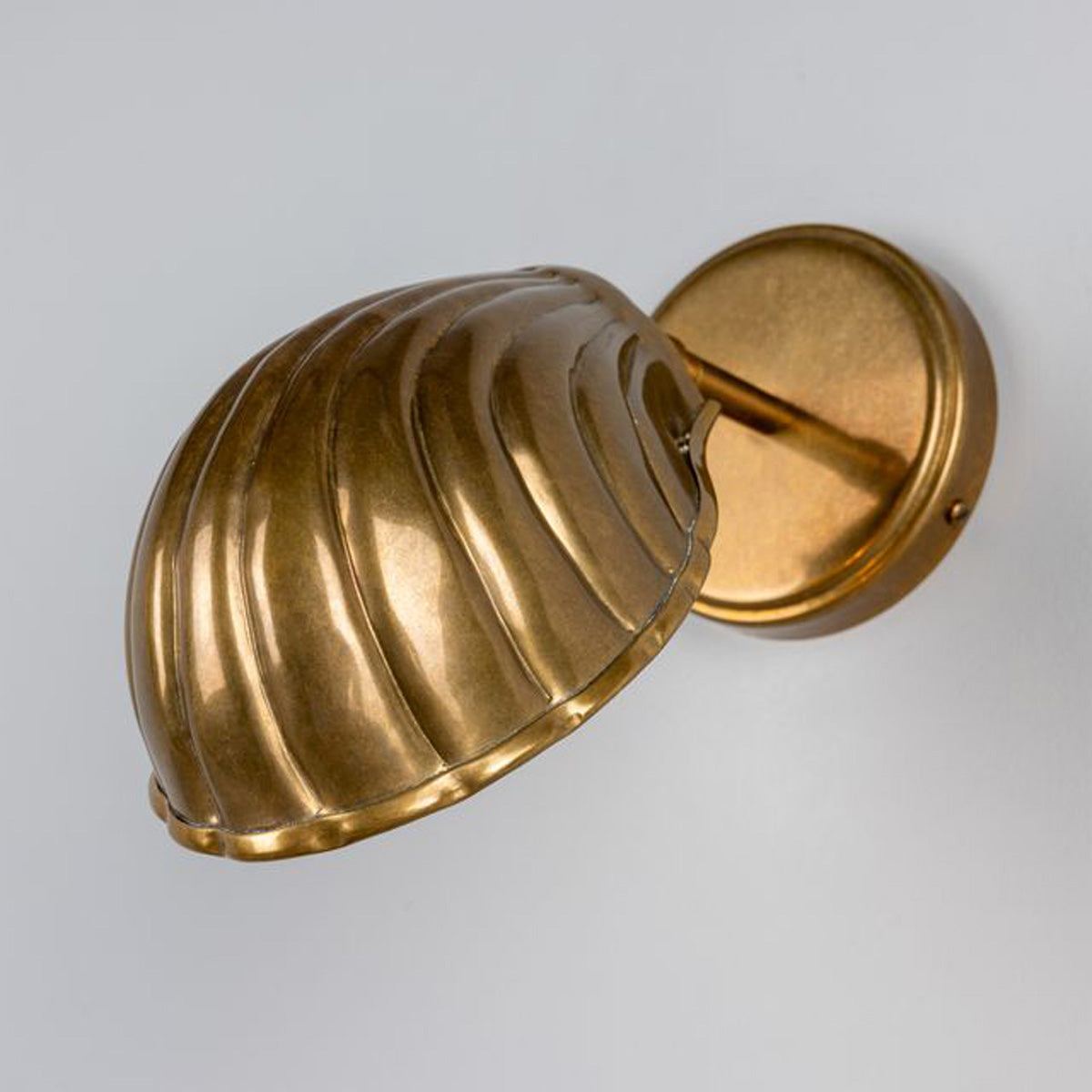 Shell Wall Light