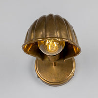 Shell Wall Light