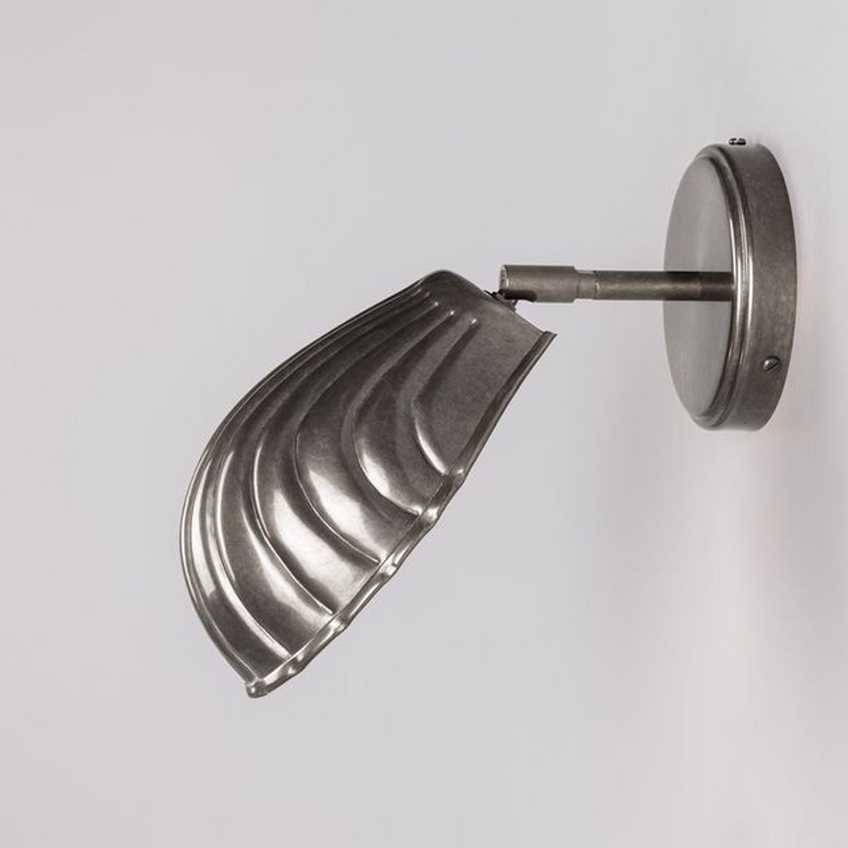 Shell Wall Light