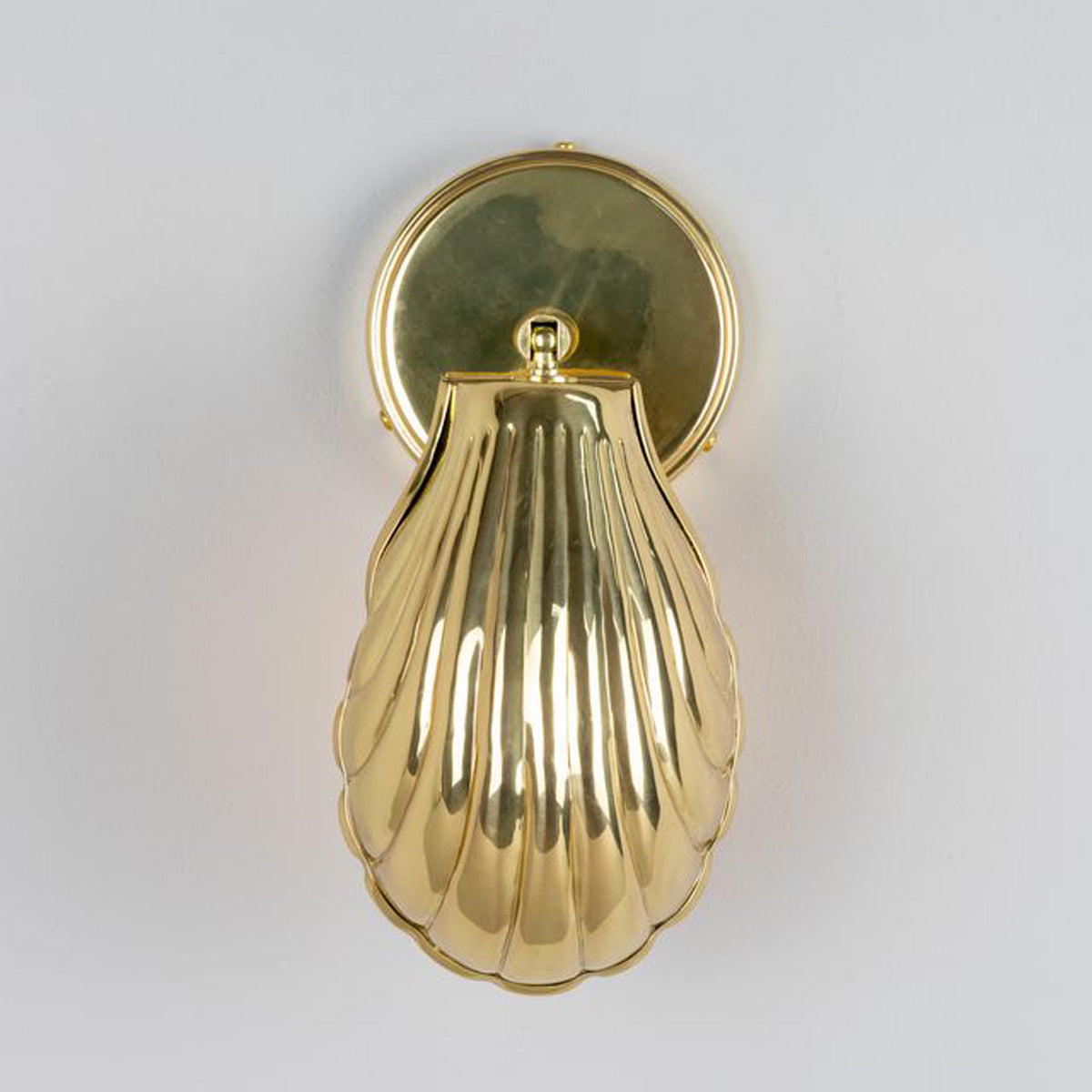 Shell Wall Light