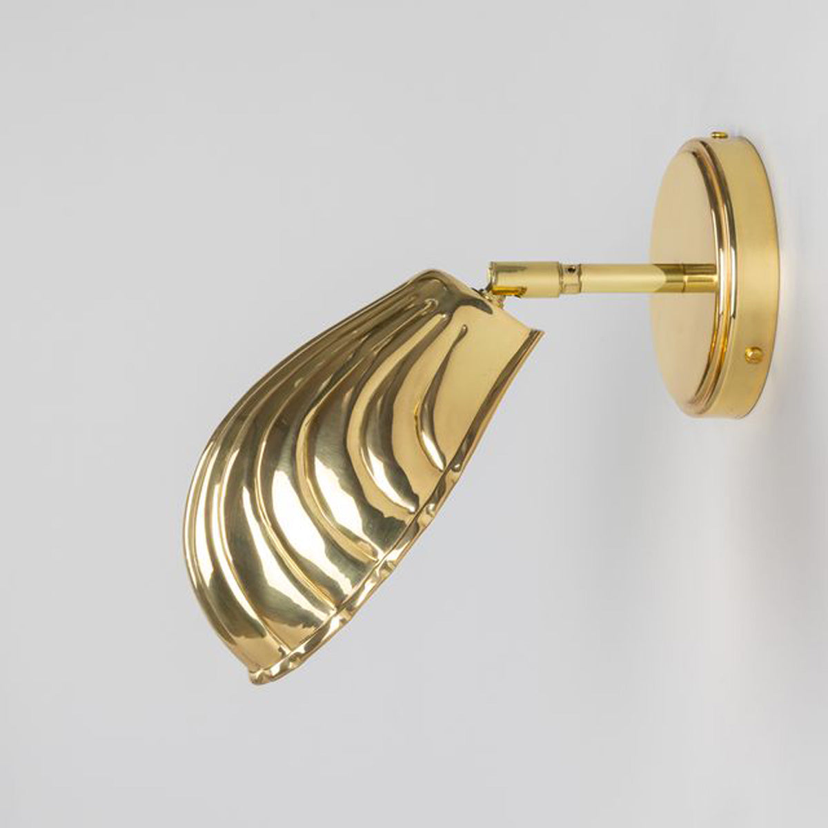 Shell Wall Light