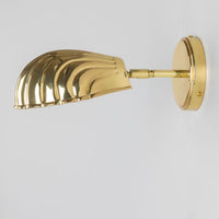 Shell Wall Light