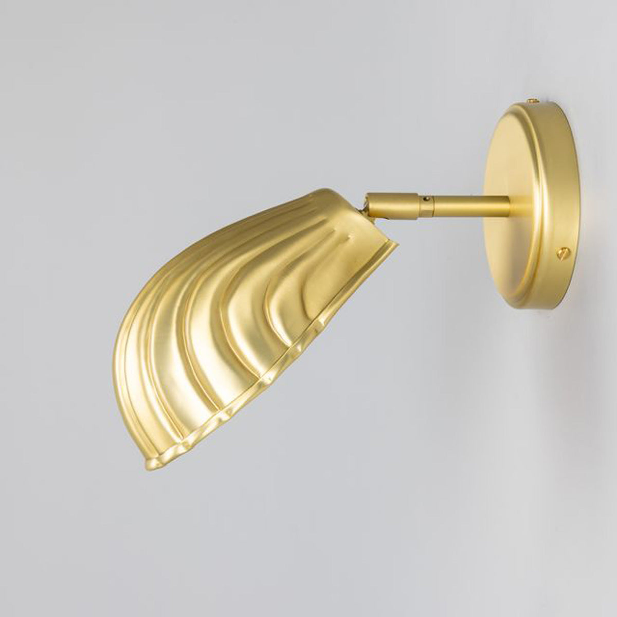 Shell Wall Light