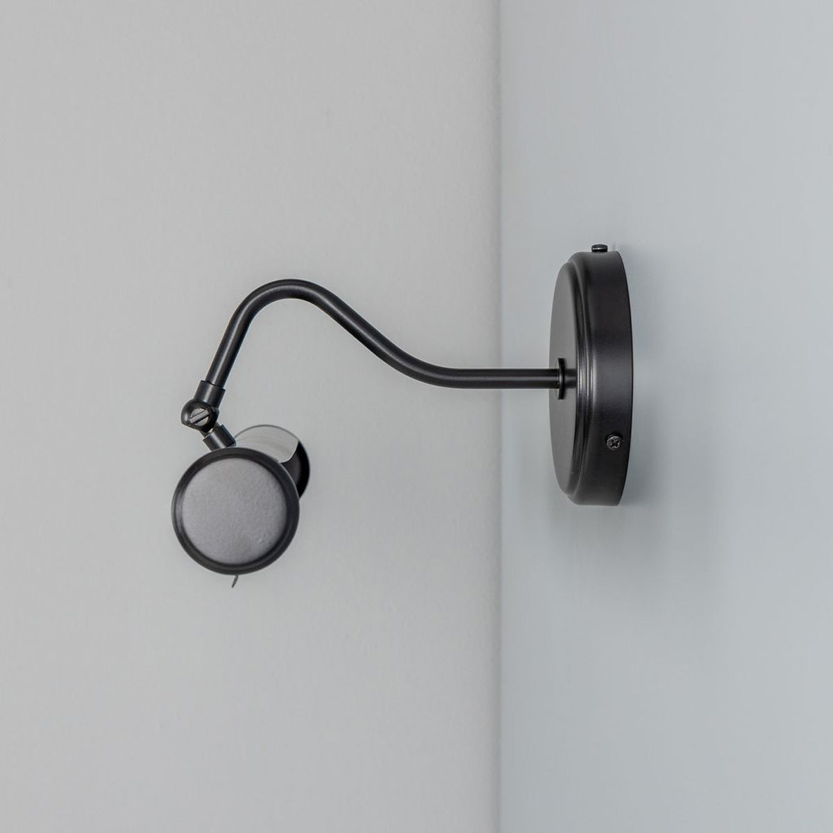 Belfast Picture Wall Light
