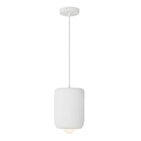 Hayden 7-in Universal Voltage Pendant