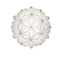 C'est La Vie Ceiling/Wall