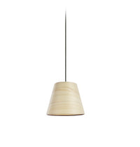 Zeta Conica Pendant