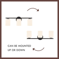 Ezra 22-in Vanity Light