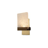 Fortis LED Wall Sconce with P1 Driver